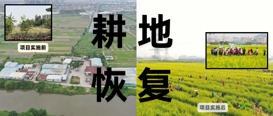 耕地；；；；；；び刖蒙す踩凇甘泻窠终蛩谏缜读继锵钅扛鼗指从氤窍缛诤系牧⒁焓导